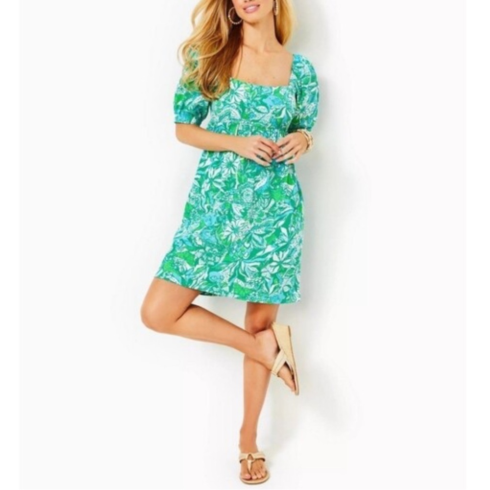 Lilly Pulitzer Delaney Botanical Dress
